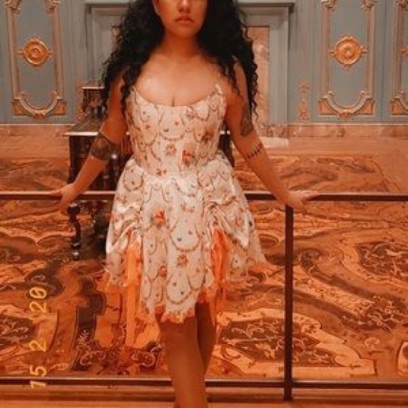 Sugar Thrillz Lush Opulence Butterfly Corset Dress Marie Antoinette Size XL - Picture 6 of 6